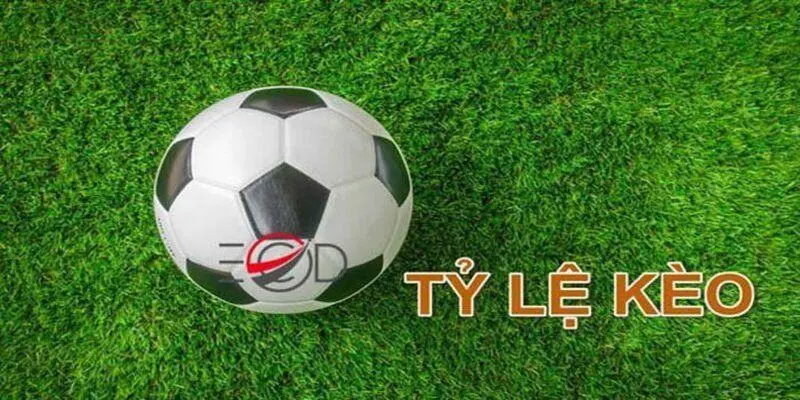 Tỷ lệ kèo nhà cái 98win sở hữu đa dạng hình thức đầu tư hấp dẫn
